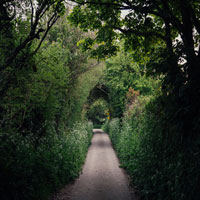 Countryside-Lane